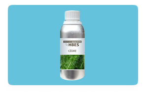 parfum-cedre